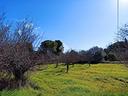 ter-agricolo-a-polignano-a-mare