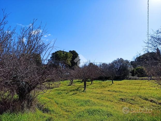 TER. AGRICOLO A POLIGNANO A MARE