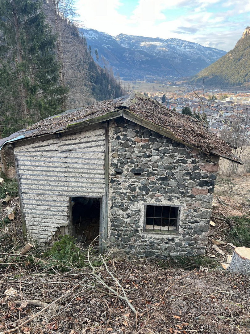 Terreno e rustico in val di Fiemme - Vista 4