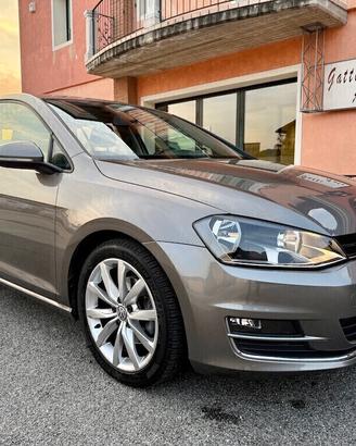 Volkswagen Golf 1.6 TDI 5p. Highline BlueMotion Te