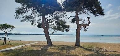 Porto Cesareo appartamento 4/8 posti mare/centro