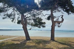Porto Cesareo appartamento 4/8 posti mare/centro