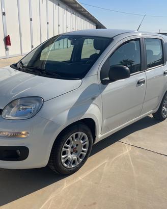 Fiat Panda 1.3 MJT 95 CV S&S Easy