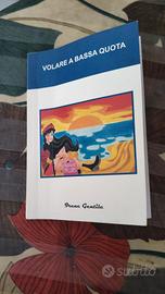 volare a  bassa quota