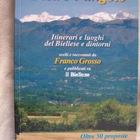 FRANCO GROSSO  -  DIETRO L'ANGOLO