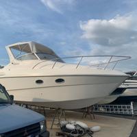 Sessa oyster 22
