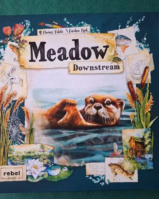 Gioco da tavolo "Meadow Downstream"