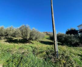 Terreno Agricolo Fonte Nuova [Cod. rif 3116064VCG]