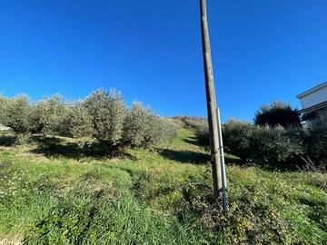 Terreno Agricolo Fonte Nuova [Cod. rif 3116064VCG]