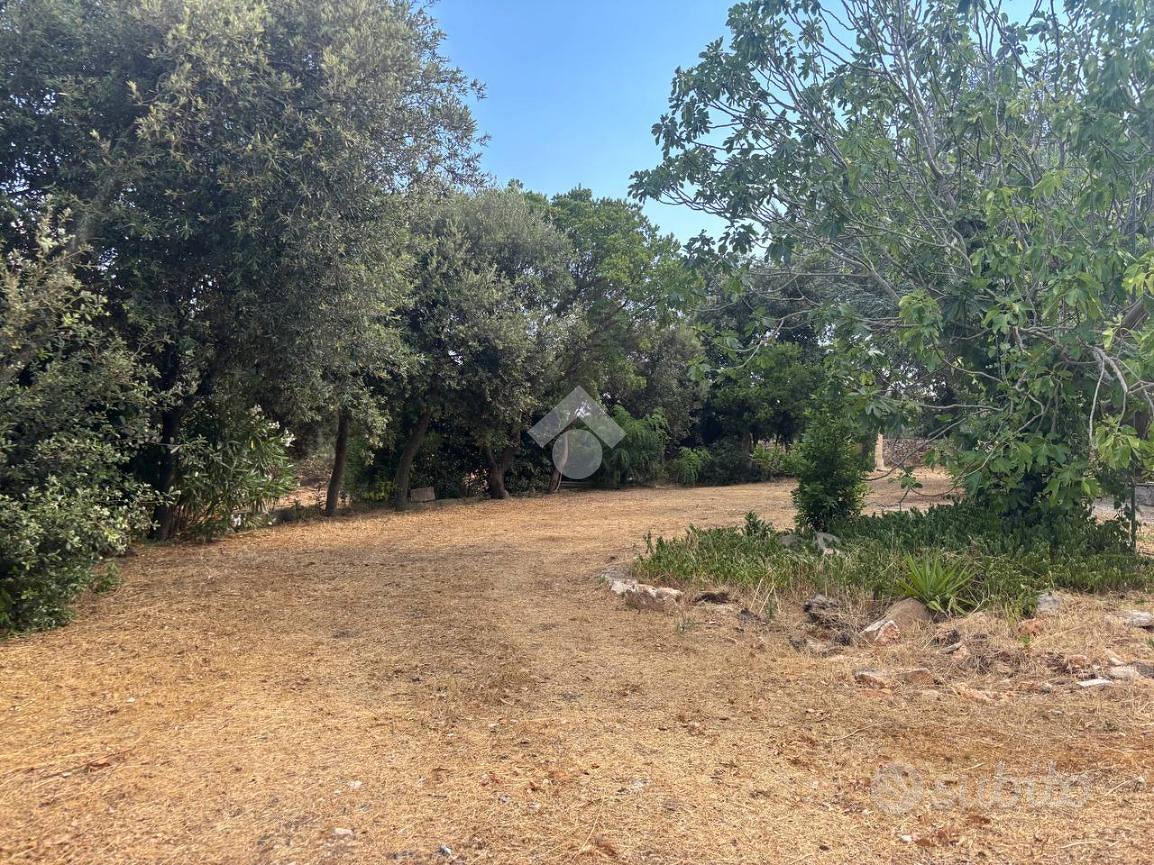 RUSTICO A MARTINA FRANCA - Altro