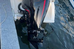 fuoribordo mercury 115 pro xs