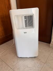 Condizionatore pinguino