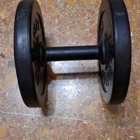 Manubrio palestra