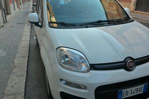 Fiat Panda 1.3  75 cv 