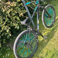 WHEELIE BIKE