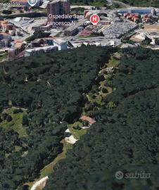 Casolare con terreno nella pineta di ugolio