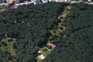 Casolare con terreno nella pineta di ugolio