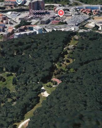 Casolare con terreno nella pineta di ugolio
