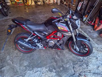 Benelli Bn 251