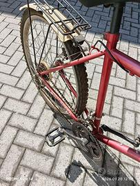 Bicicletta da uomo