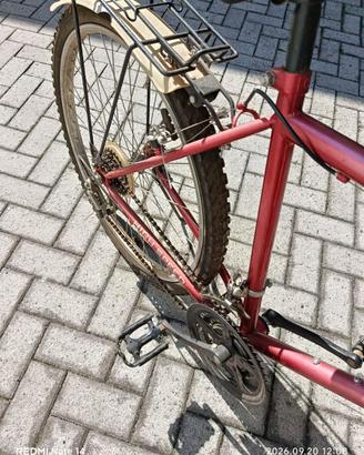Bicicletta da uomo