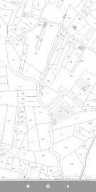 Terreni agricoli e da pascolo nove ettari