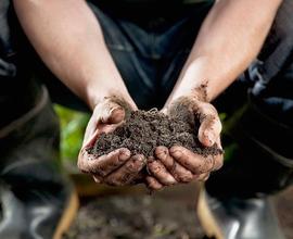 Cerco terreno AGRICOLO con casetta contadino