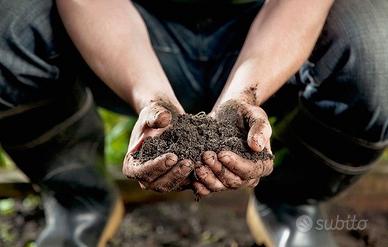 Cerco terreno AGRICOLO con casetta contadino