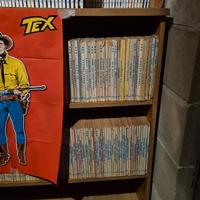 Collezione TEX - Numeri 1-728