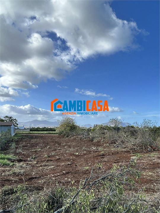 Via Conte Federico - Terreno 1000 Mq pianeggiante - Vista 2