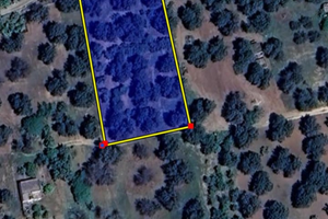 Terreno agricolo con uliveto, 25 are