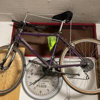 Bicicletta per ragazzo