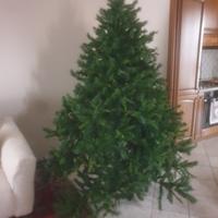 albero natale 
