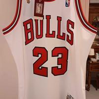 Maglia Jordan authentic Chicago bulls