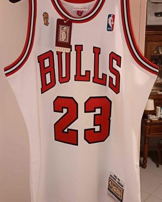 Maglia Jordan authentic Chicago bulls