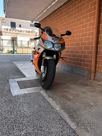Honda CBR 900 Fireblade Urbantiger