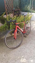 Bici da corsa  Cannondale  con cambio Shiman