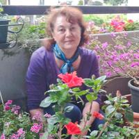 Badante colf con referenze 24h