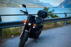 Benelli Leoncino 500