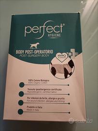 body post operatorio