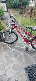 mountain bike ragazzo 24"