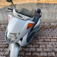 Honda foresight 250