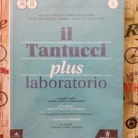 il Tantucci plus laboratorio 1