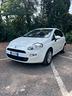 adatta-per-neopatentati-fiat-punto-1-2-8v-5-porte