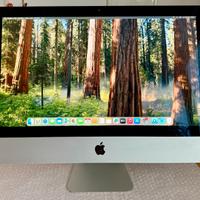 iMac 21.5 - 2013 - Ssd 256 GB Flash