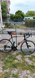 bici corsa cervelò RS tg 56 