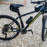 Bottecchia