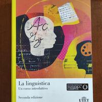 La Linguistica. Un corso introduttivo.