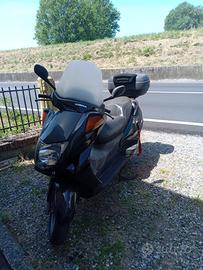 Honda foresight 250