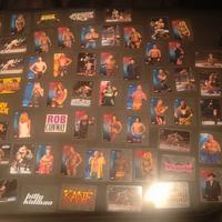 Lotto Lamincard WWE 
